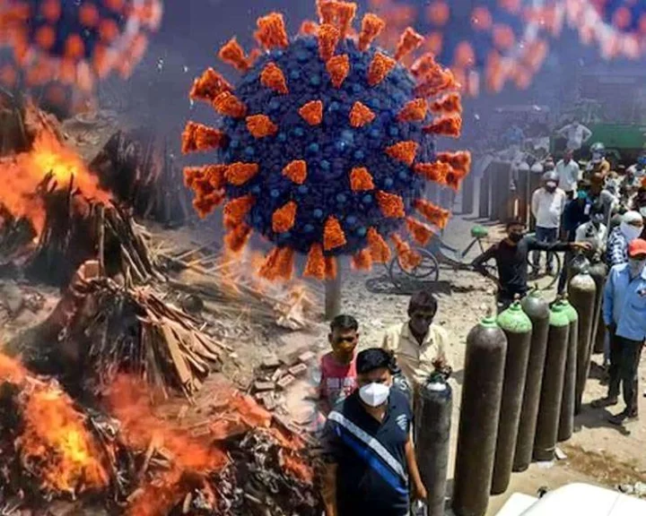NeoCov નામના એક નવો કોરોનાવાયરસ હવે ફેલાયો