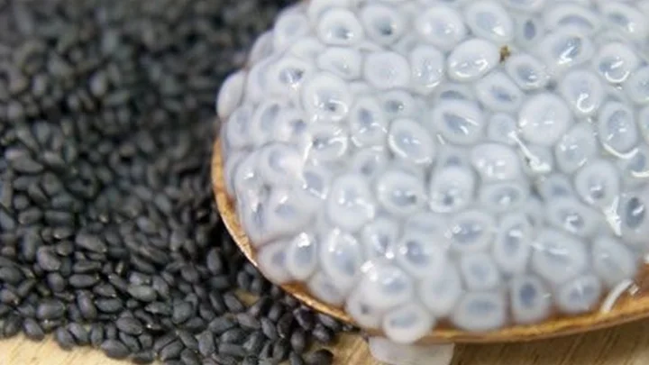 सब्जा के बीज