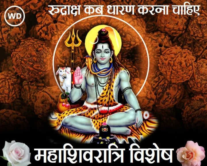 rudraksh