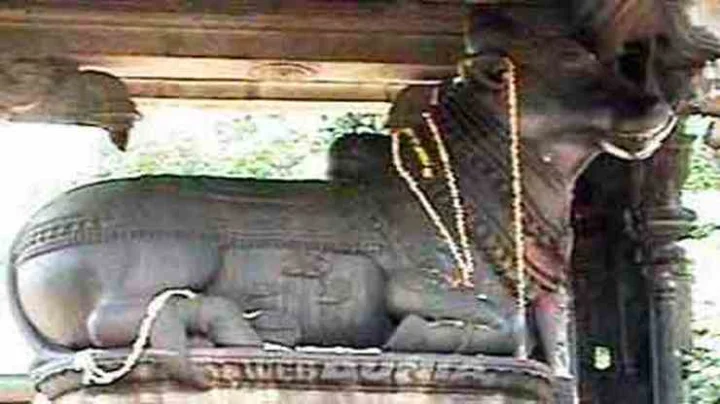 nandi