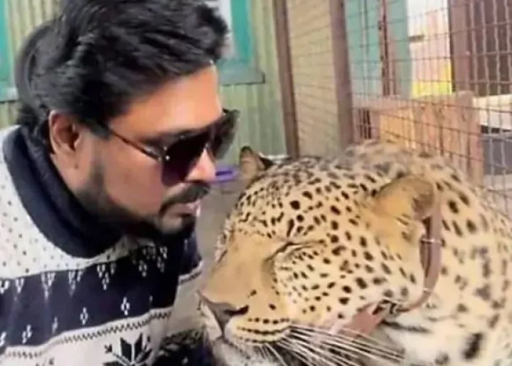 Indian doctor stranded in Ukraine with his pet leopard and jaguar