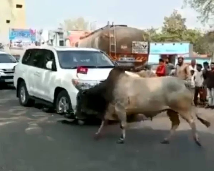 उत्तर प्रदेश