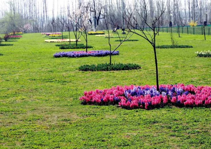 Jammu and Kashmir