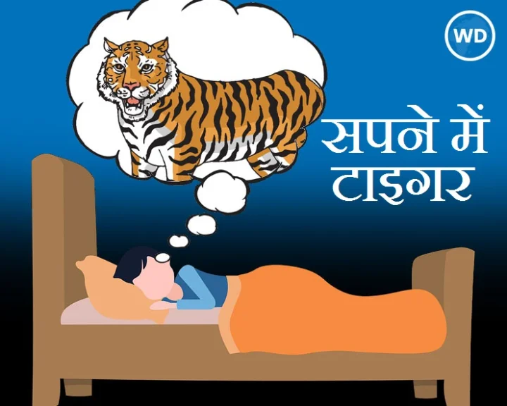 tiger in dreams
