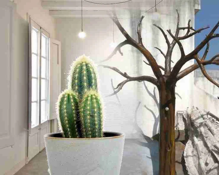 cactus