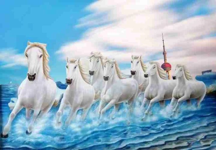 picture of horses