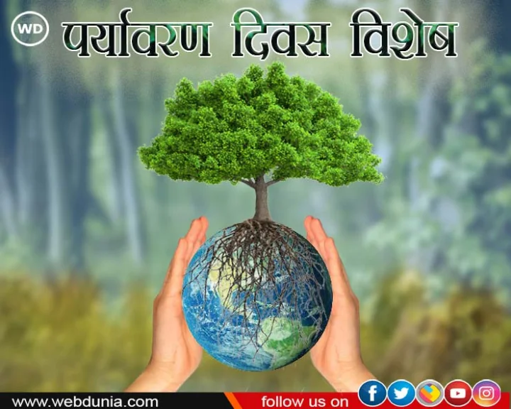 विश्व पर्यावरण दिवस