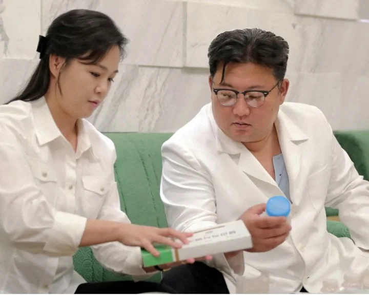 north korea intestinal disease