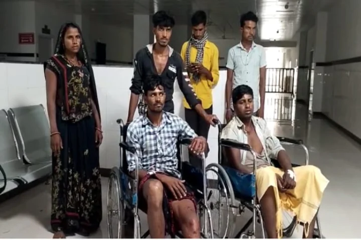 विदिशा में वनकर्मियों की फायरिंग में आदिवासी की मौत, 3 घायल, जंगल से लकड़ी चुराने का आरोप