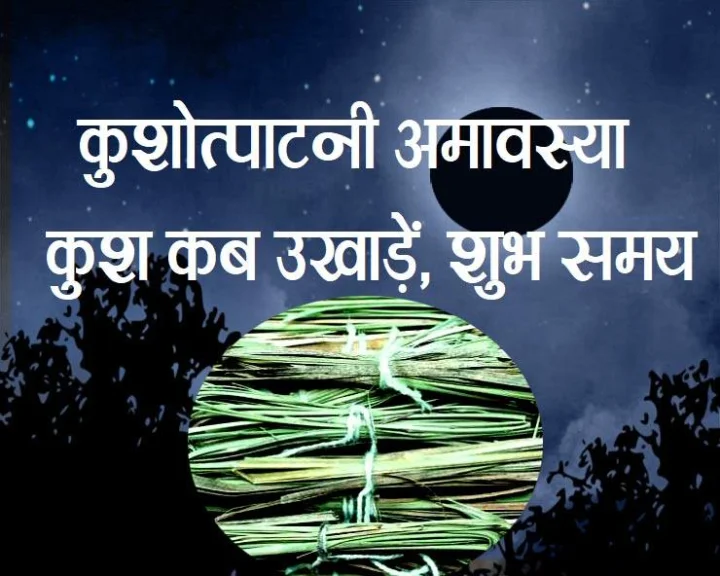 about kusha grass