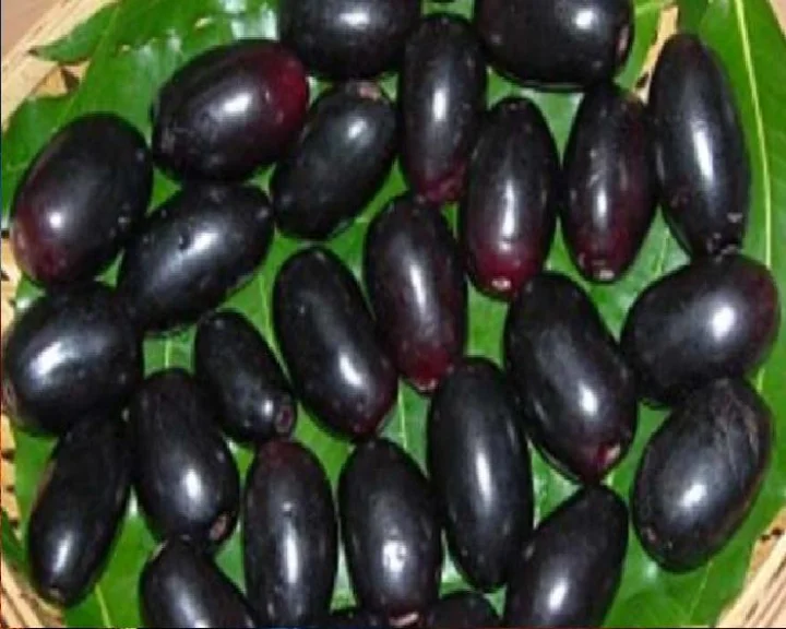 Benefits of eating Jamun