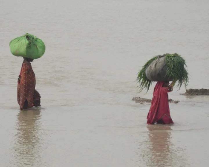 pakistan rain