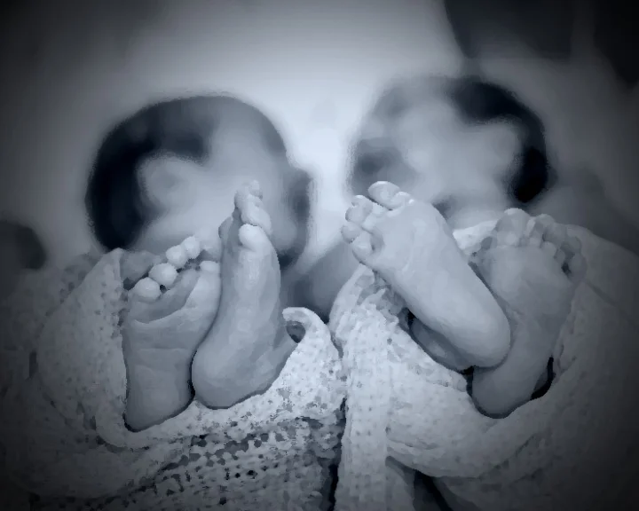 IVF results in twins