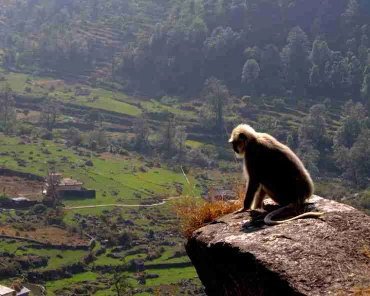 Himalaya