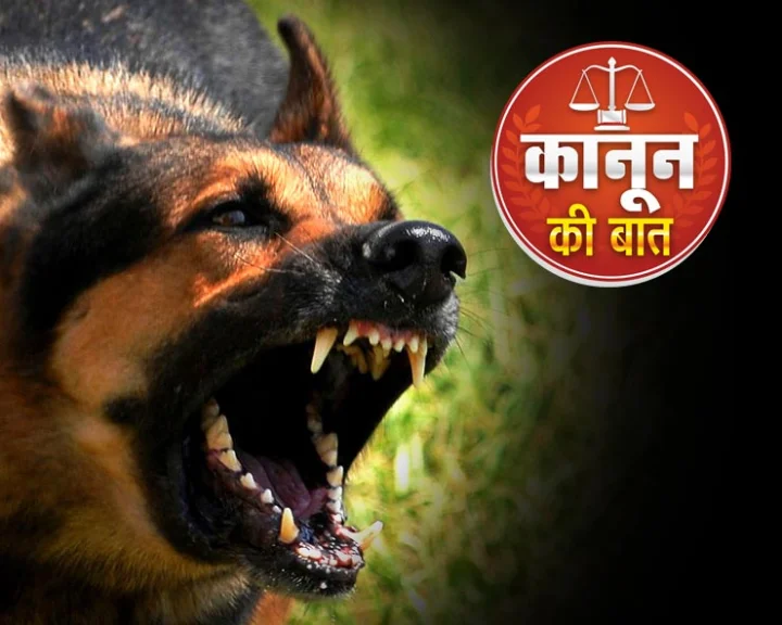 Dog bite