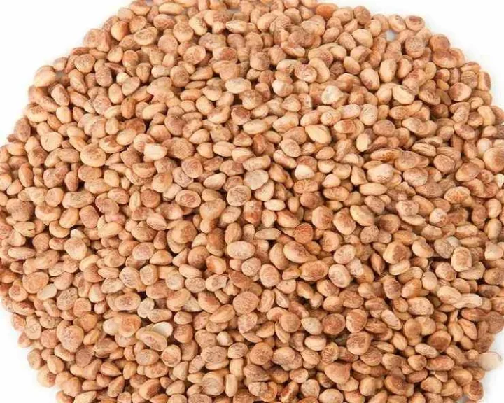 Benefits of Charoli Chironji