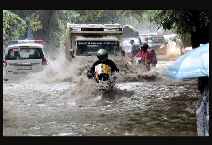 Rain