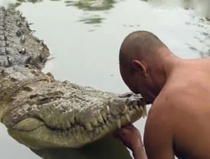 Vegetarian crocodile 'Babia