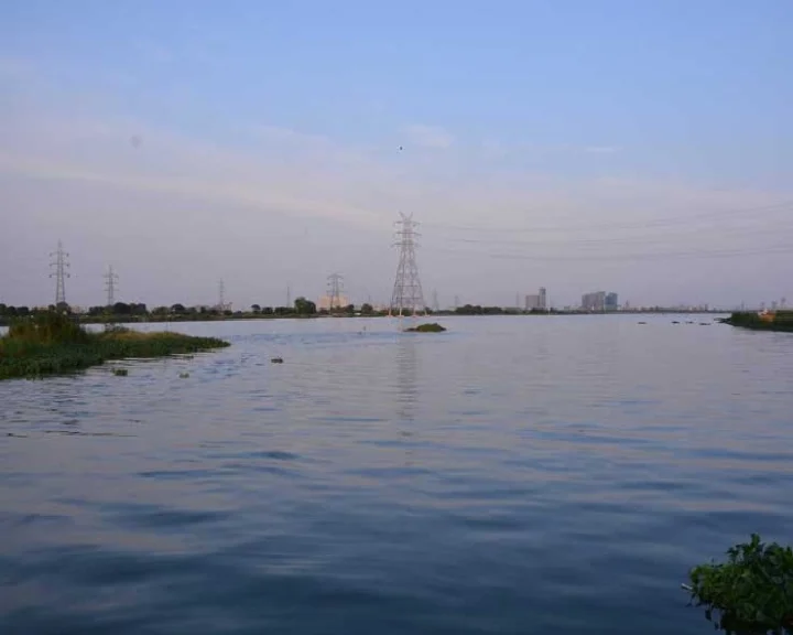 यमुना छठ