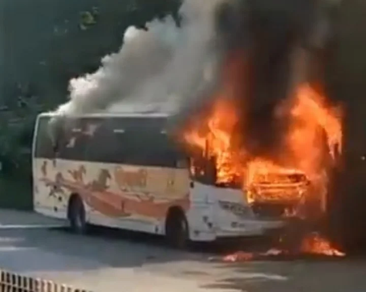 ST bus