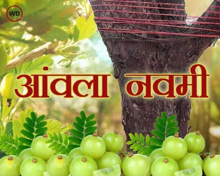 Amla navami puja vidhi