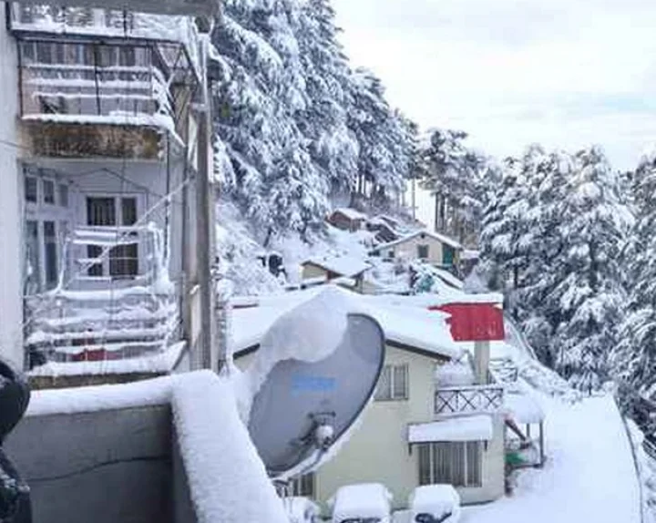 kashmir