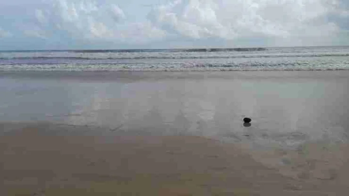 gujarat beach