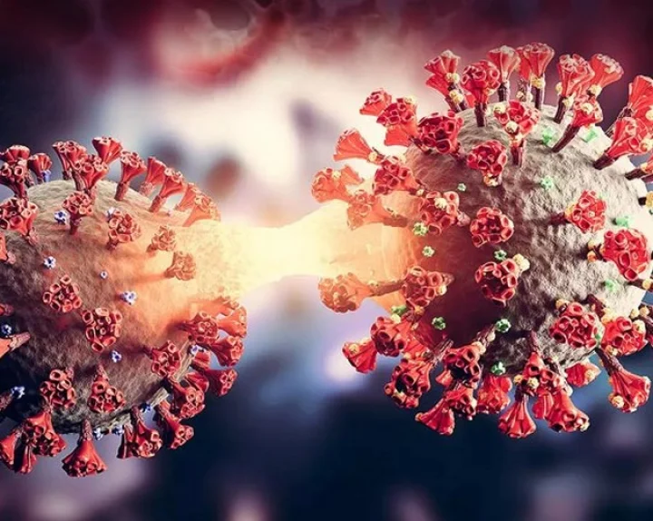 Coronavirus