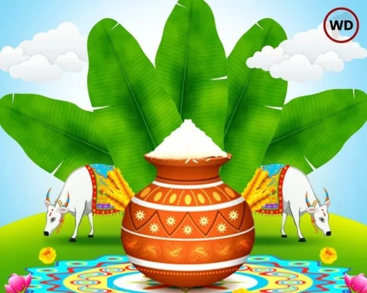 pongal 2023