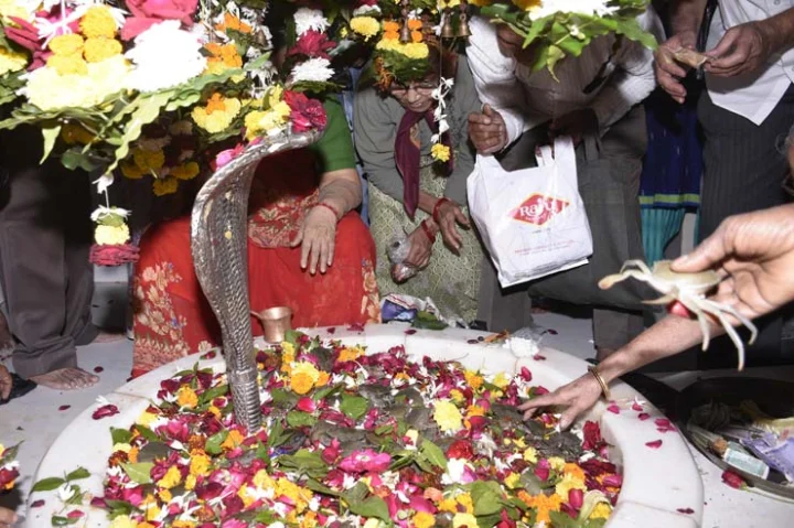 Devotees offering crab at Shree Ramnath Ghela Mahadev temple in Surat