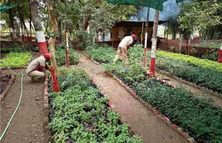 Sant Sakharam Maharaj Nursery Amalner