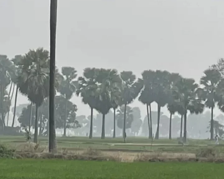 bihar