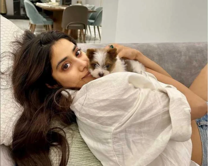 janhvi kapoor