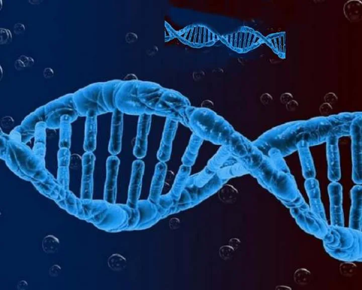 Genome