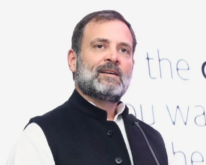 Rahul Gandhi's disqualification issue raised in Germany