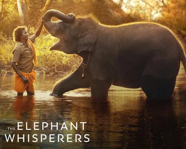 The Elephant Whisperers review