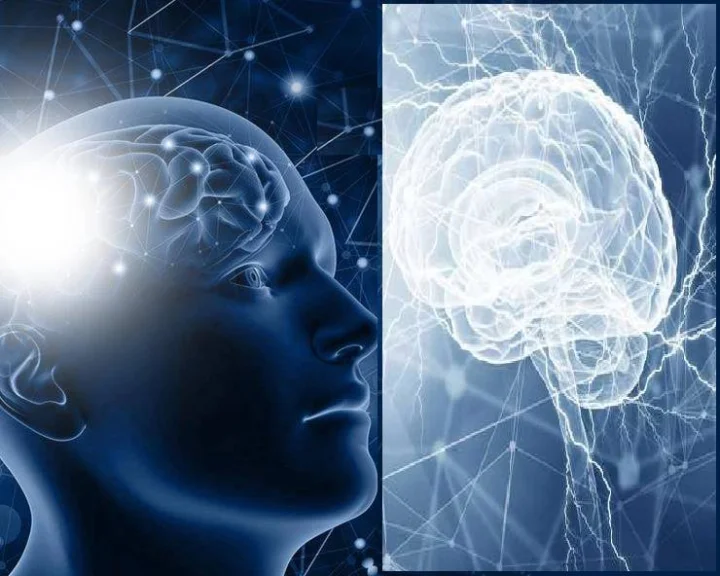Difference Alzheimer And Dementia