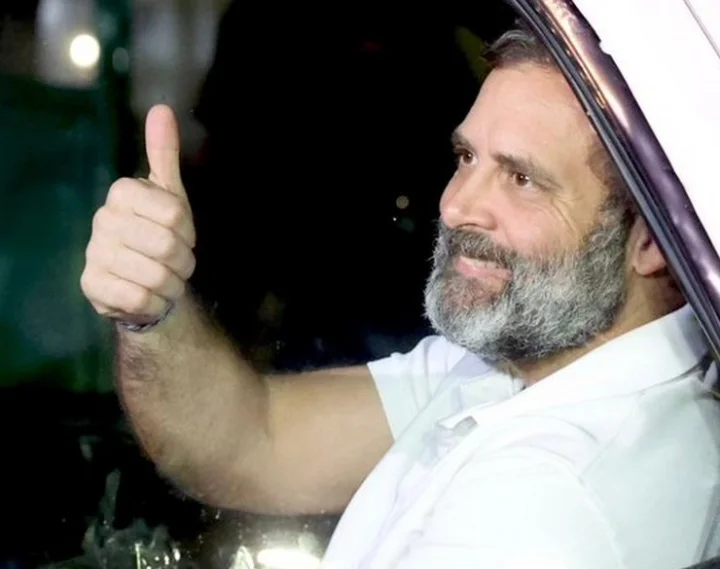 Rahul Gandhi Income