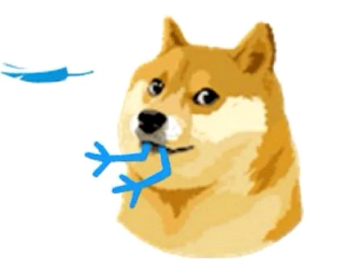 What should I do if a dog bites me