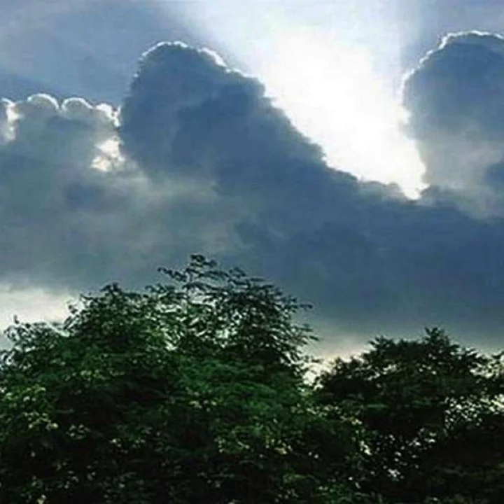 Weather updates- રાજ્યમાં ભારે પવન સાથે કમોસમી વરસાદ