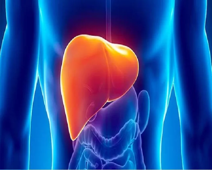 world hepatitis day 2023