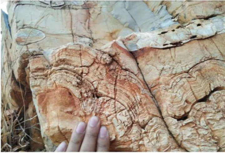 ancient rocks