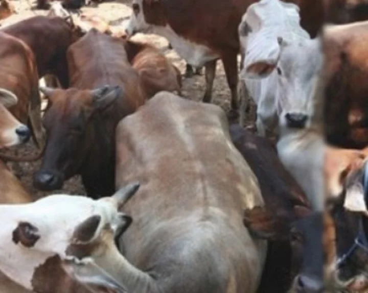 Uttar Pradesh