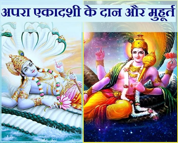 apara ekadashi 2023 daan list,