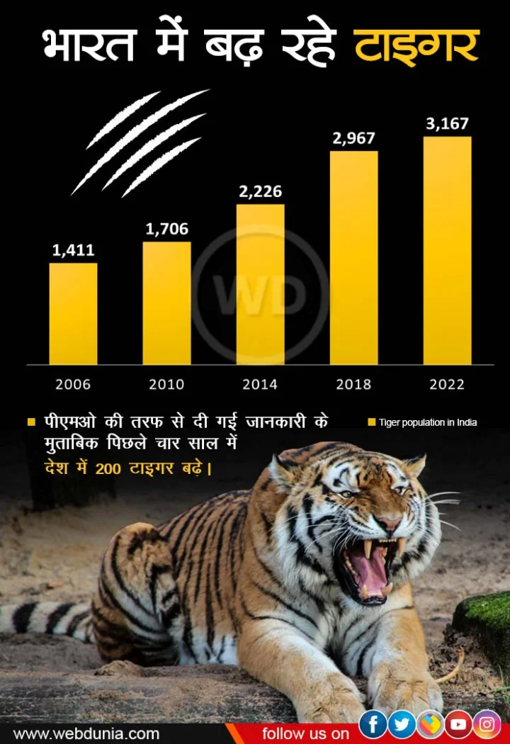 Tigers