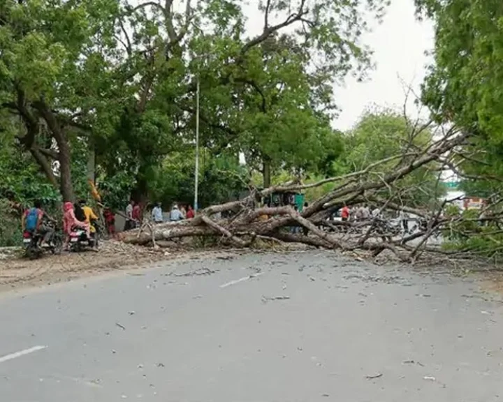 cyclone Michaung 