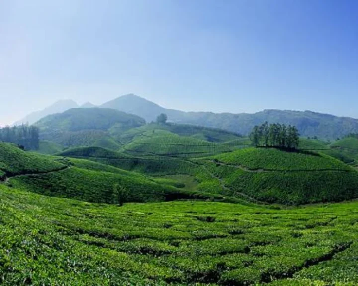 Munnar