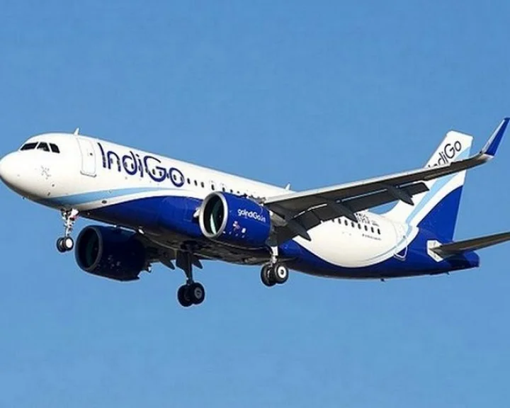 Indigo 