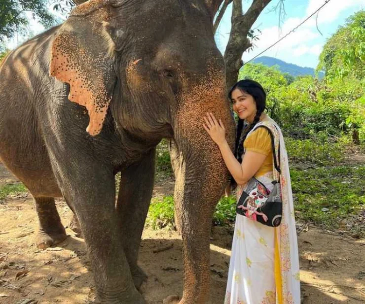 adah sharma