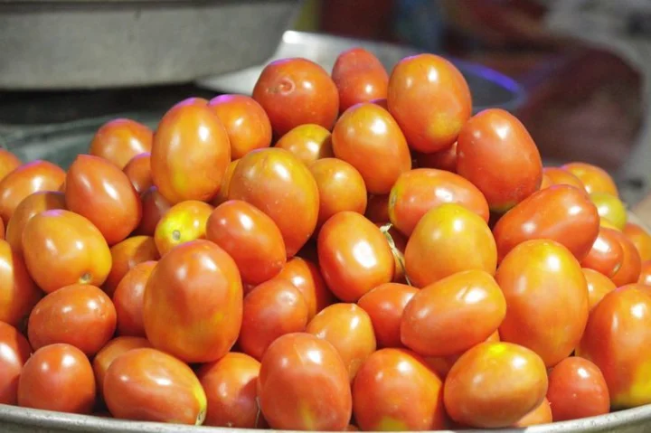 History of origin of tomato
